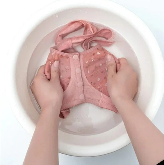 imgi_15_WhatsAppImage2025-09-10at00.31.20_2b3c8cf3_540x